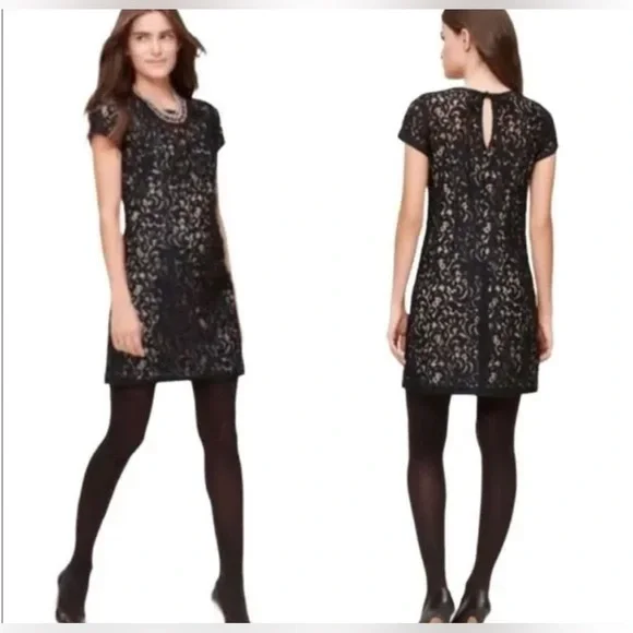 Loft | Little Black Lace Shift Dress